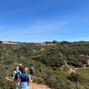 patikointi ferragudossa